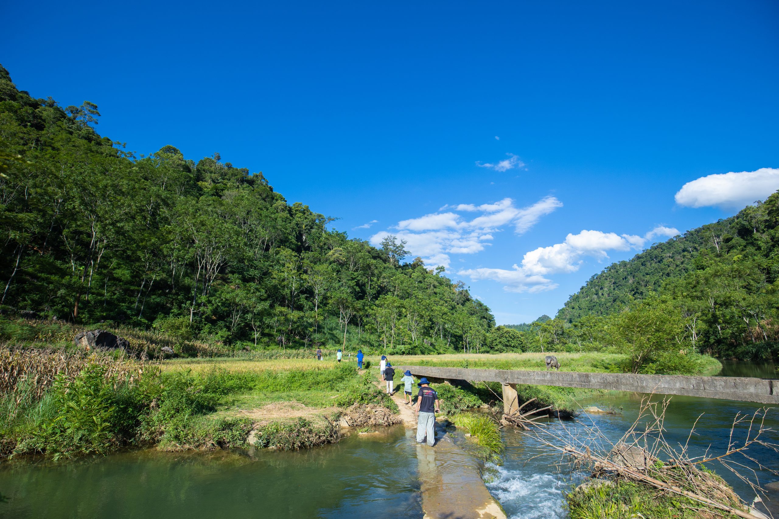 WIT TOUR – TOUR 2 NGÀY 1 ĐÊM – Trải nghiệm sống như người Thái bản địa