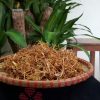 Măng rừng già tước sợi