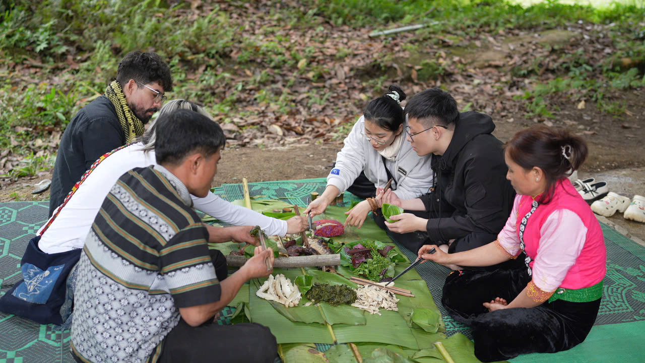 TOUR 2N1Đ – CHUYỆN CỦA RỪNG