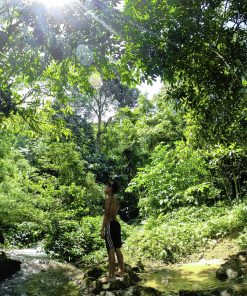 WIT Tour: Experience Northwest Nature in Muot Valley