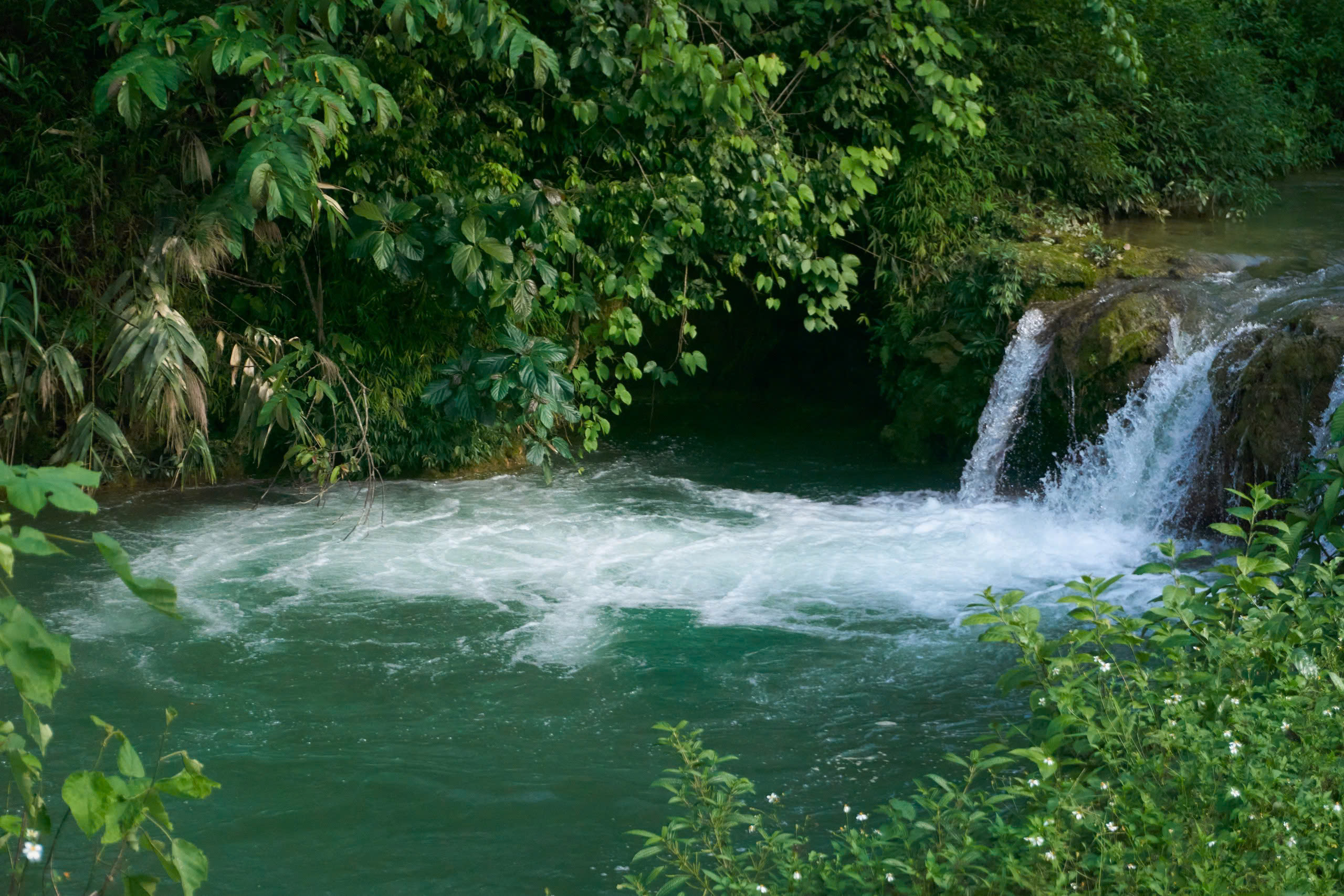 TOUR 2N1Đ – CHUYỆN CỦA RỪNG