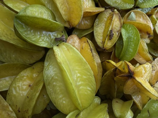 Khế cổ Bản Bướt