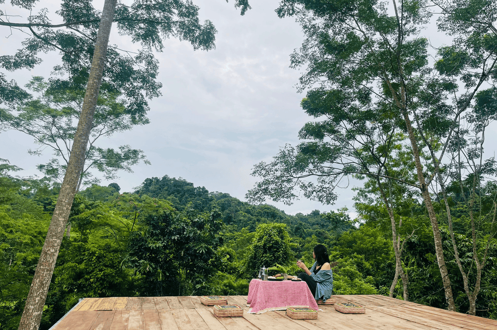 Trải nghiệm trà chiều bên suối