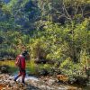 Tour: Chuyện của cánh rừng – Bướt gọi!