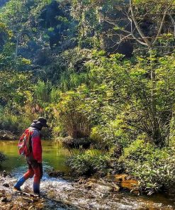 Tour: Chuyện của cánh rừng – Bướt gọi!